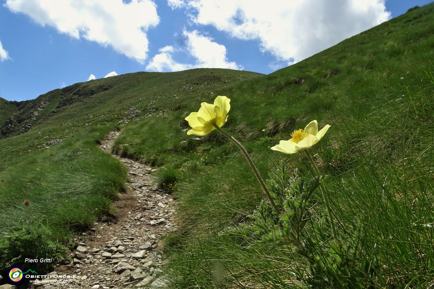 74 Ormai in vetta alla Cima di Lemma (2348 m).JPG